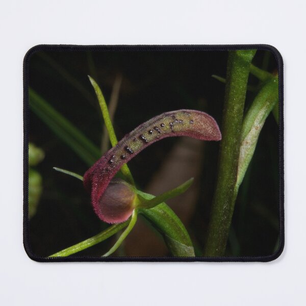 Item preview, Tongue Delight designed and sold by GP1746.