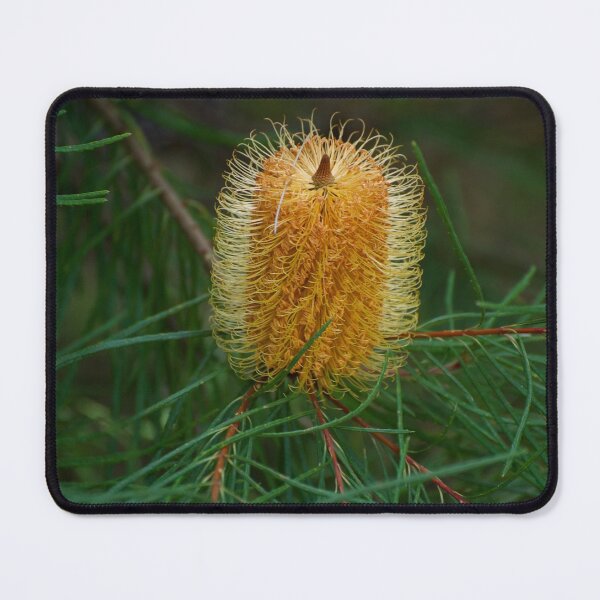 Item preview, Hairpin Banksia designed and sold by GP1746.