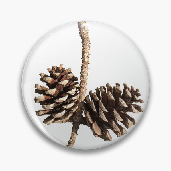 Item preview, Pinecones designed and sold by BeachBumFamily.