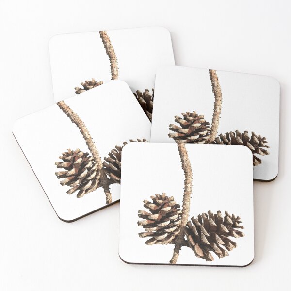Item preview, Pinecones designed and sold by BeachBumFamily.