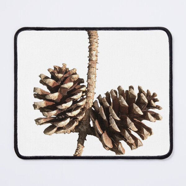 Item preview, Pinecones designed and sold by BeachBumFamily.