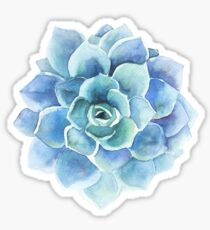 Watercolor blue tones succulent illustration Sticker