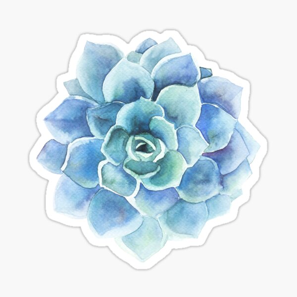 Watercolor blue tones succulent illustration Sticker