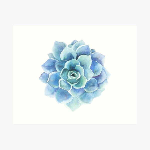 Watercolor blue tones succulent illustration Art Print
