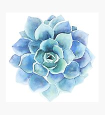 Lámina fotográfica Ilustración suculenta acuarela tonos azules