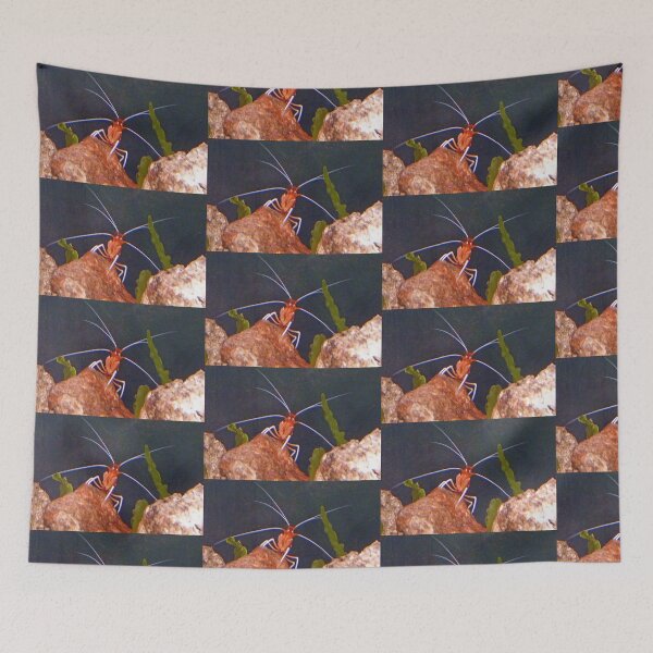 Item preview, One Surprised Looking Crustacean designed and sold by lynn carter.