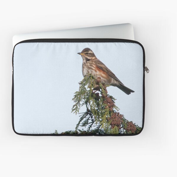 Item preview, redwing sentinel designed and sold by Grandalf.