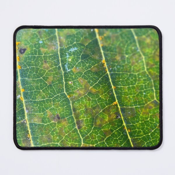 Item preview, Green Leaf Vein Lines designed and sold by Sinemathk.
