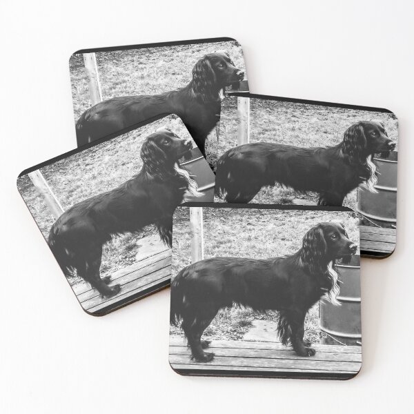 Item preview, Sprocker designed and sold by Rich0069.