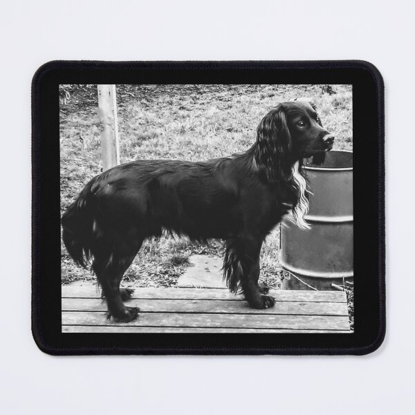 Item preview, Sprocker designed and sold by Rich0069.