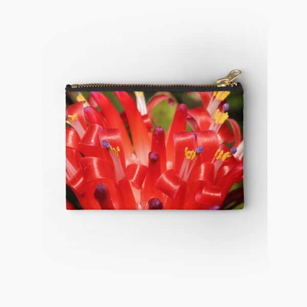 Item preview, gorgeous bromeliad designed and sold by Maree Costello.