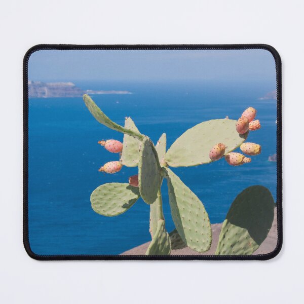 Item preview, Santorini Cacti Dream #1 #minimal #wall #decor #art designed and sold by Anita's & Bella's Art.