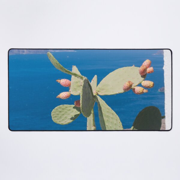 Item preview, Santorini Cacti Dream #1 #minimal #wall #decor #art designed and sold by Anita's & Bella's Art.
