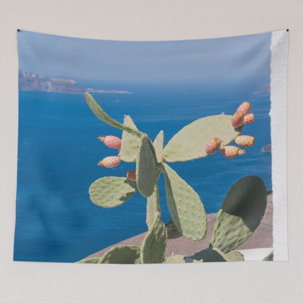 Item preview, Santorini Cacti Dream #1 #minimal #wall #decor #art designed and sold by Anita's & Bella's Art.