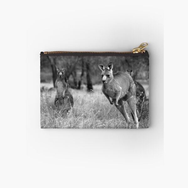 Item preview, Where's Barry Going? designed and sold by Natalie Ord.