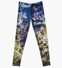 Under The Sea Fish Leggings