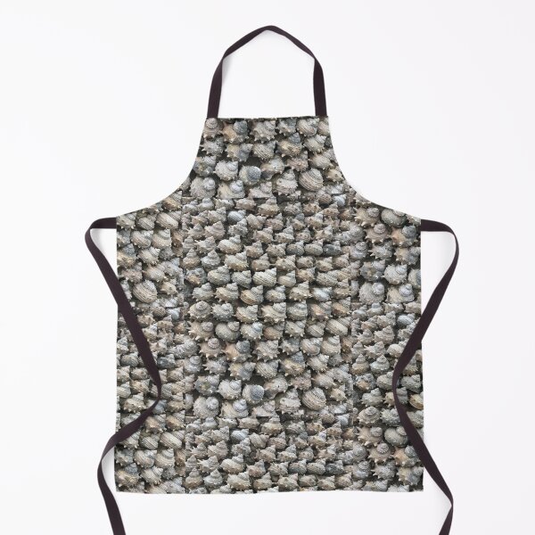 Item preview, Sea shell collection designed and sold by Thilina Kasthuriarachchi.