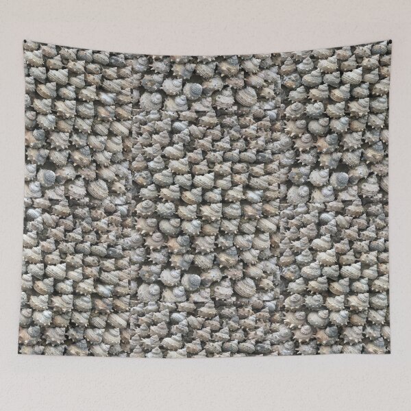 Item preview, Sea shell collection designed and sold by Thilina Kasthuriarachchi.
