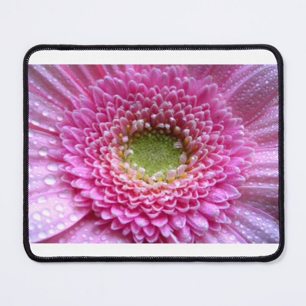 Item preview, Pink Gerbera designed and sold by angel1.