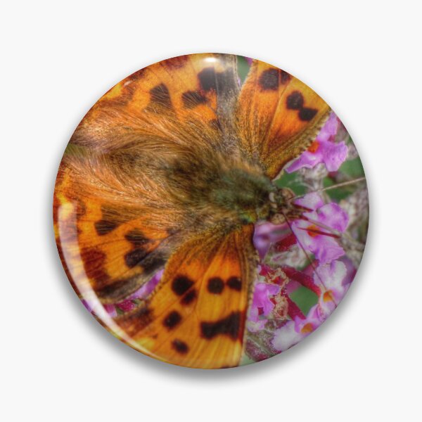 Item preview, Comma Butterfly on Buddleia designed and sold by mervynw.