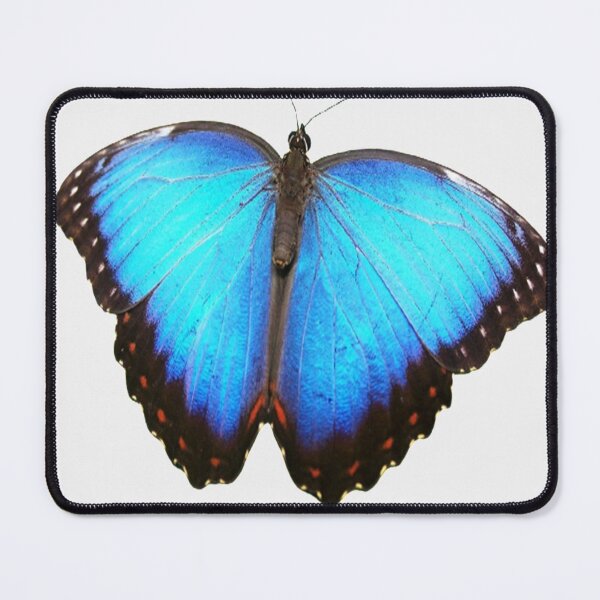 Item preview, Light blue butterfly designed and sold by ShamaBo.