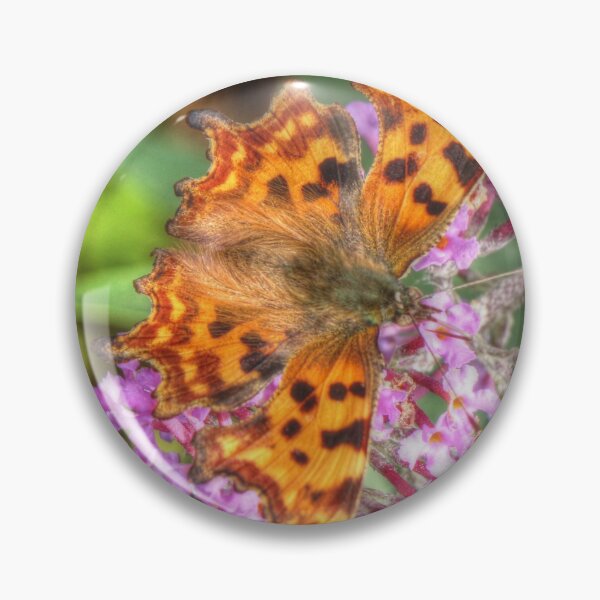 Item preview, Comma Butterfly on Buddleia designed and sold by mervynw.