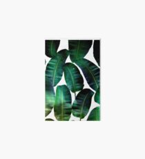 Cosmic Banana Leaves #redbubble #lifestyle Art Board