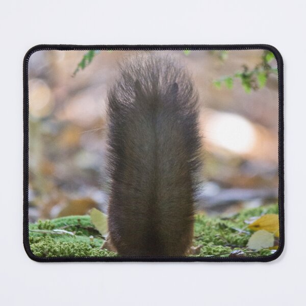 Item preview, Squirrel tail designed and sold by incachin.