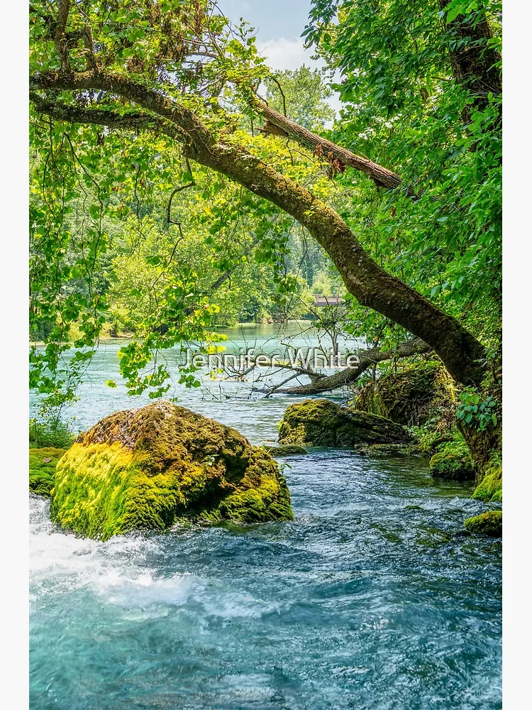 Thumbnail 3 of 3, Poster, Reaching Over Big Spring designed and sold by mljdwhite.