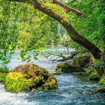 Artwork thumbnail, Reaching Over Big Spring by mljdwhite