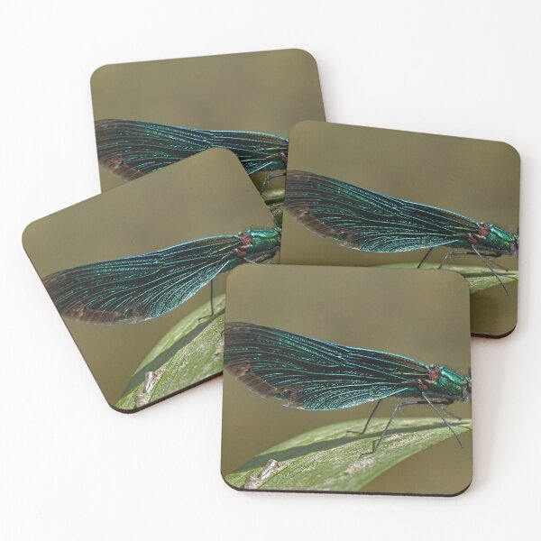 Item preview, Beautiful Demoiselle designed and sold by mervynw.