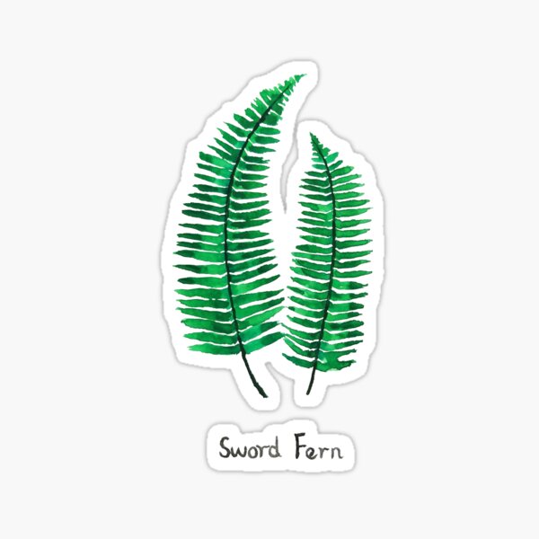 Item preview, hand painted sword fern watercolor  designed and sold by ColorandColor.