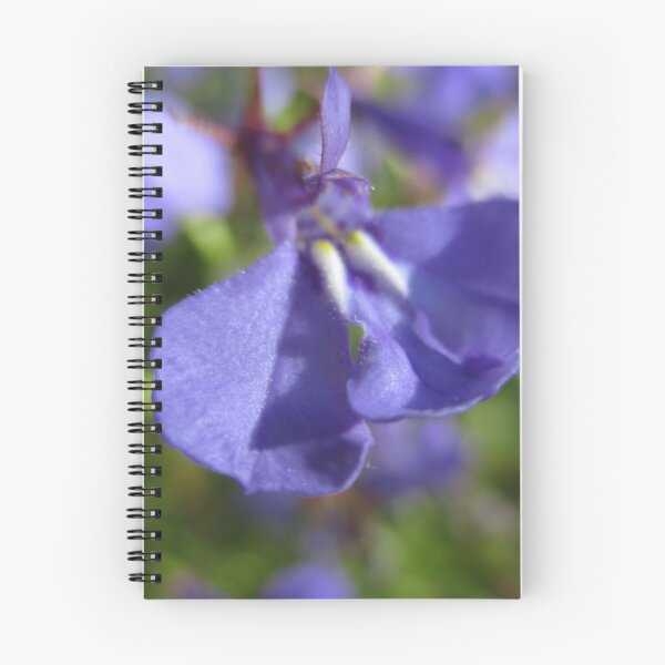 Item preview, Lobelia designed and sold by Martin Howard.