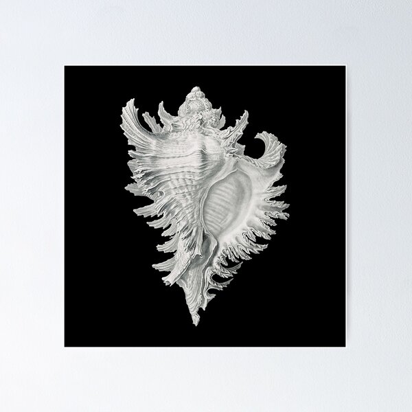 Item preview, Vintage shell II designed and sold by billythekidtees.