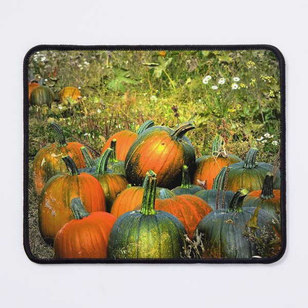Item preview, Pumpkins for Sale designed and sold by Elaine Manley.