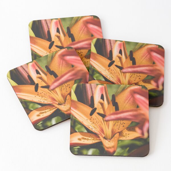 Item preview, Asiatic Lily Flower designed and sold by PaulinaChmiel.