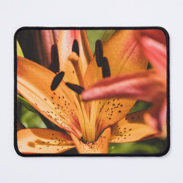 Item preview, Asiatic Lily Flower designed and sold by PaulinaChmiel.
