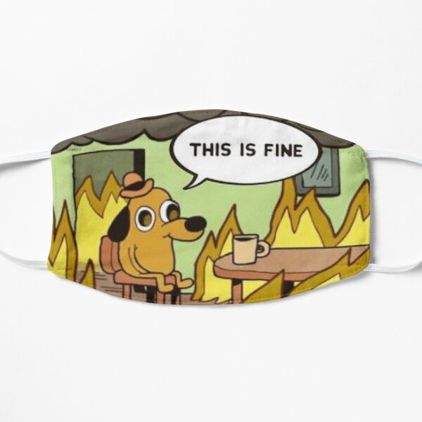 This is Fine Flat Mask