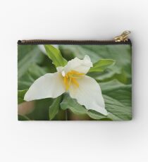 Untitled Studio Pouch