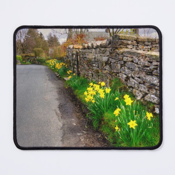 Item preview, Daffodils in Orton Village designed and sold by tomg.