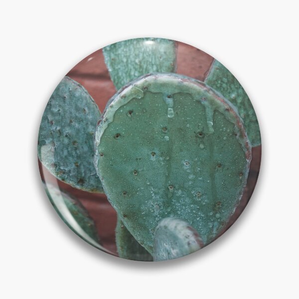 Item preview, Frozen Icy Winter Cactus designed and sold by JLPhotographer.