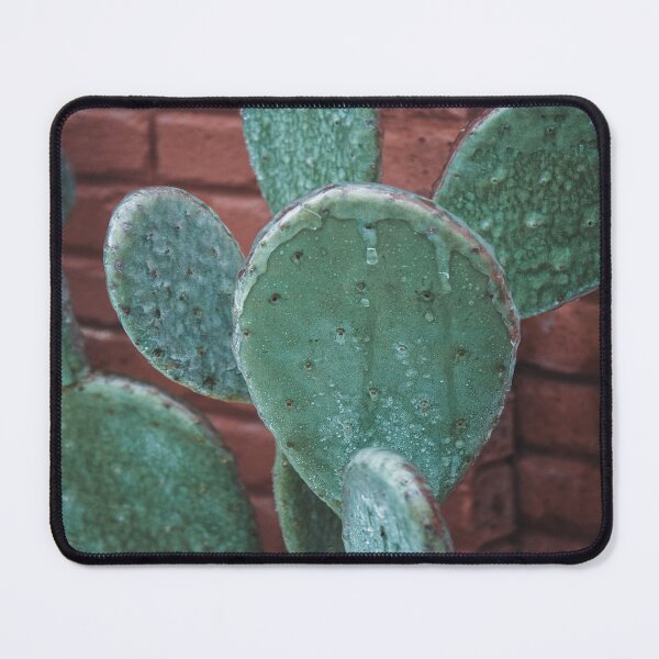 Item preview, Frozen Icy Winter Cactus designed and sold by JLPhotographer.