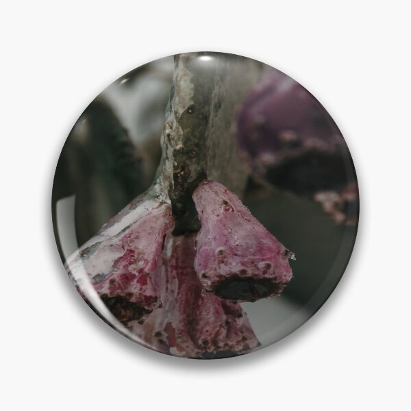 Item preview, Icy Frozen Cactus Spring Blooms designed and sold by JLPhotographer.