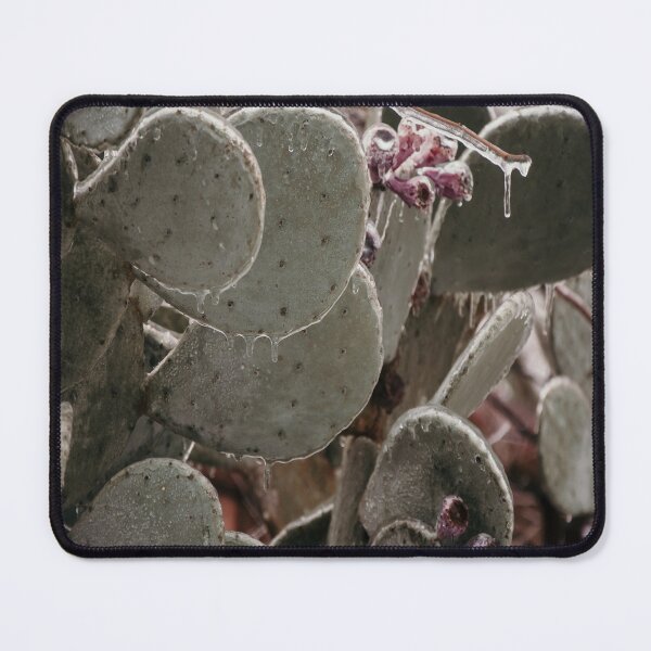 Item preview, Frozen Winter Icy Cactus Blooms designed and sold by JLPhotographer.