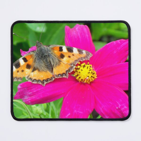 Item preview, In the pink designed and sold by angel1.