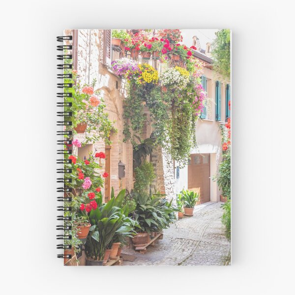 Item preview, Flowers in ancient street located in Spello village. Umbria Region, Italy. designed and sold by Paolo Modena Photography    -   Fine Italian Art.