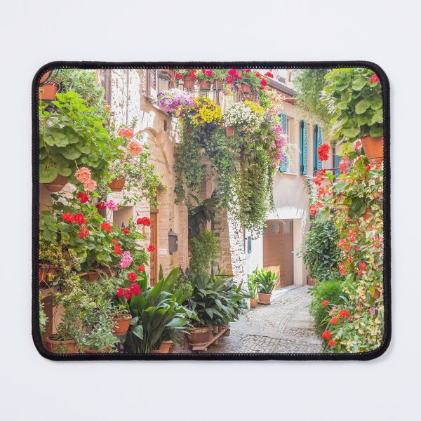 Item preview, Flowers in ancient street located in Spello village. Umbria Region, Italy. designed and sold by Paolo Modena Photography - Fine Italian Art.