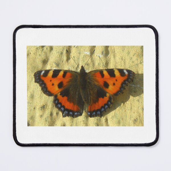 Item preview, Small Tortoiseshell  designed and sold by angel1.