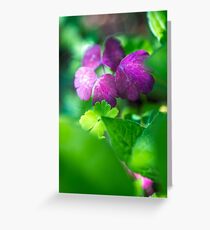 grüne und lila blätter Greeting Card