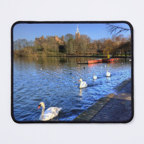 Item preview, Swans glide past designed and sold by tomg.